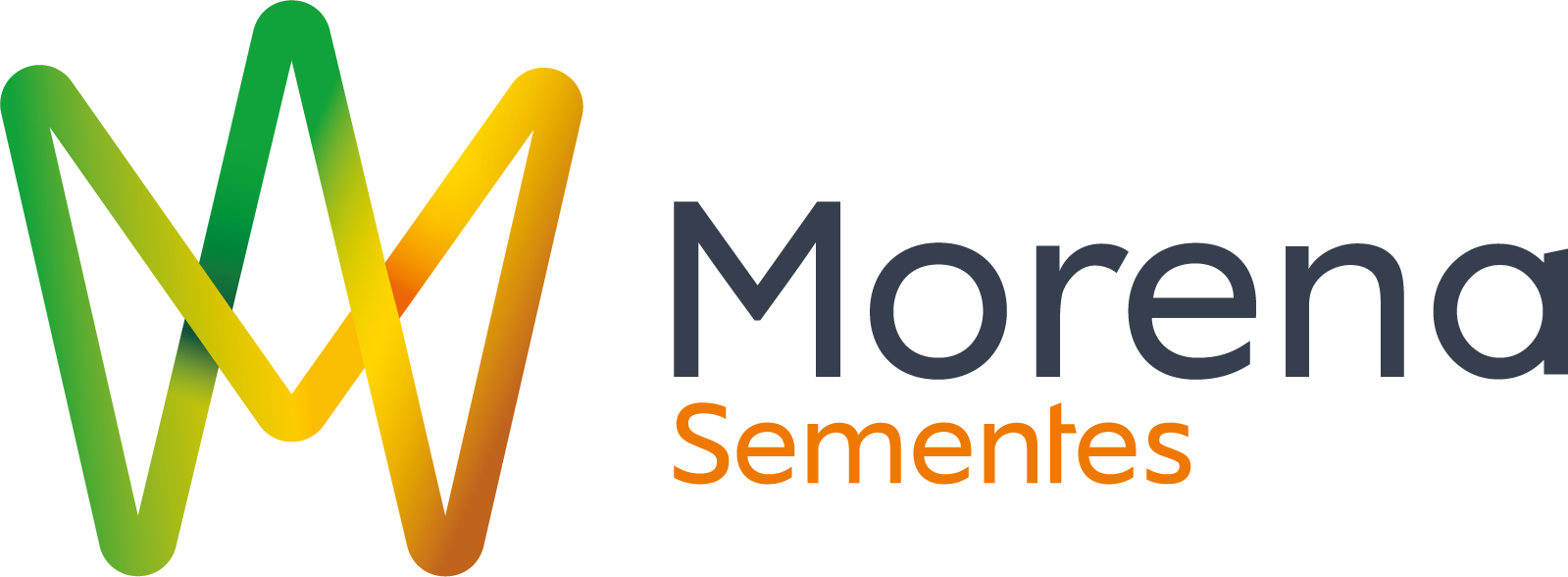 Morena Sementes